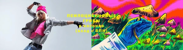 прущие грибы Медногорск