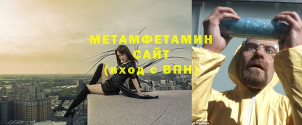 прущие грибы Медногорск