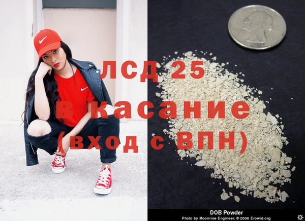 прущие грибы Медногорск