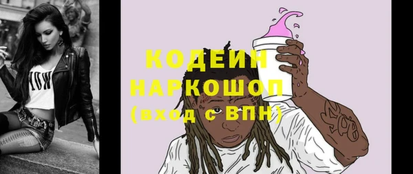 прущие грибы Медногорск