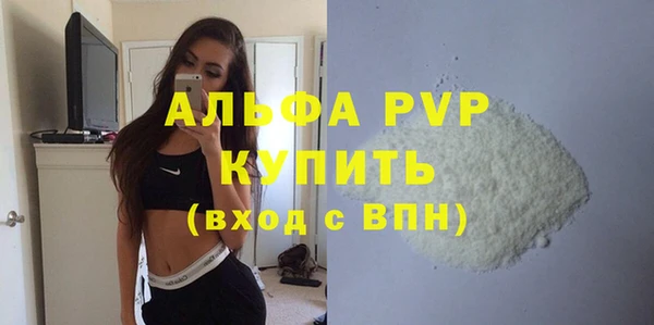 прущие грибы Медногорск
