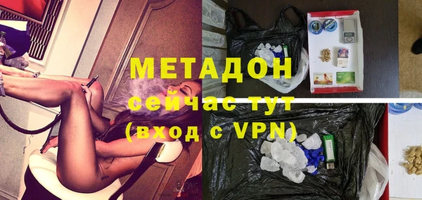 прущие грибы Медногорск