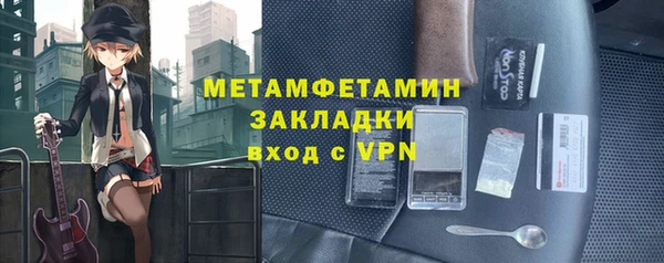 прущие грибы Медногорск