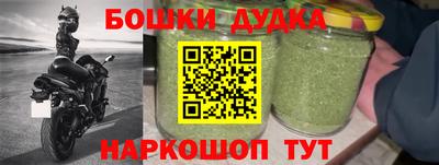 МДПВ Гатчина