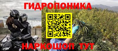 прущие грибы Гагарин