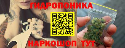 твердый Гай
