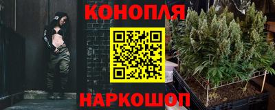 МДПВ Гатчина