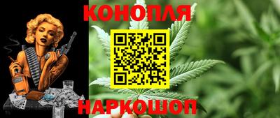 прущие грибы Гагарин