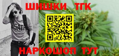 МДПВ Гатчина