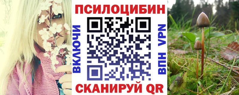 как найти наркотики Барабинск Псилоцибиновые грибы GOLDEN TEACHER