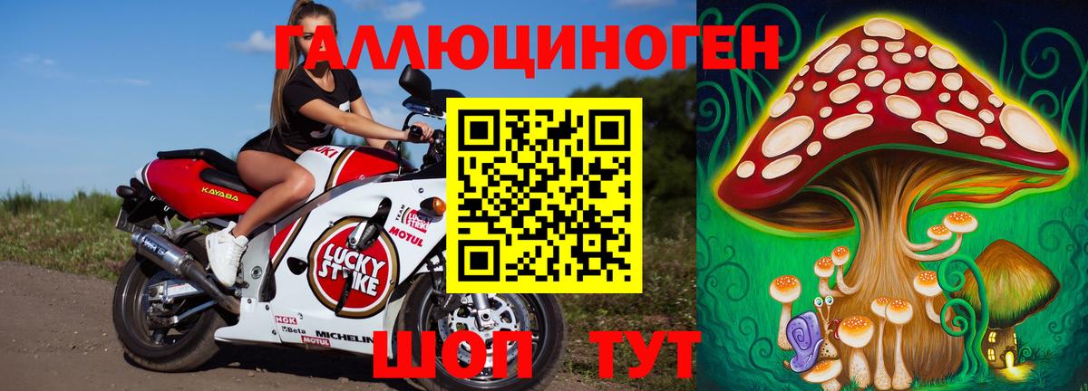 Галлюциногенные грибы прущие грибы Барабинск